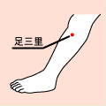 足三里