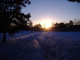 近所の公園から望む朝日04