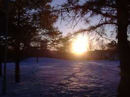 近所の公園から望む朝日05