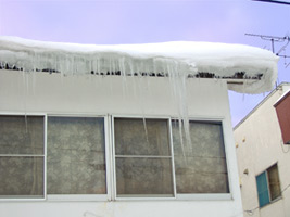 近所の家のつらら01