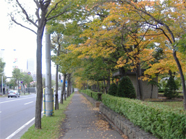 大空公園の紅葉01