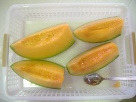 近所のふきのとう02