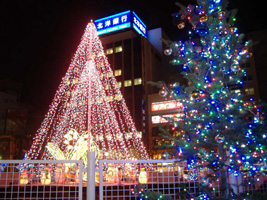 ホワイトイルミネーション01