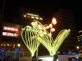 ホワイトイルミネーション02