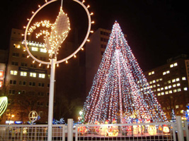 ホワイトイルミネーション03