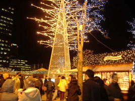 ホワイトイルミネーション05