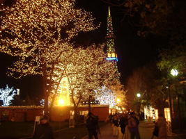 ホワイトイルミネーション06