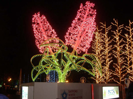 ホワイトイルミネーション07