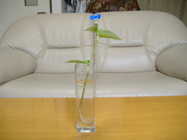 野の花の一輪挿し01