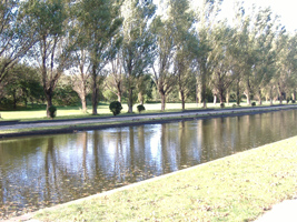 前田森林公園01