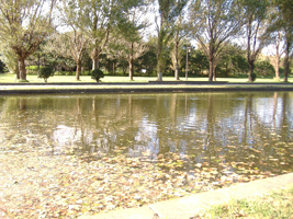 前田森林公園05