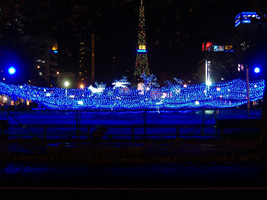 ホワイトイルミネーション01