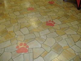 ライオンキング05