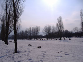 札幌市手稲区前田公園の雪景色04