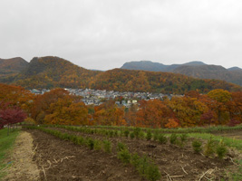札幌御嶽神社05