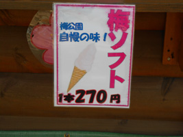 平岡公園の梅03