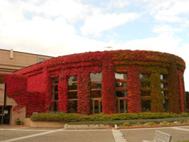 札幌農試公園の紅葉02