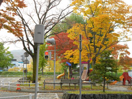 札幌農試公園の紅葉04