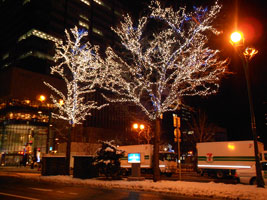 第33回ホワイトイルミネーション01