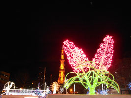 第33回ホワイトイルミネーション03