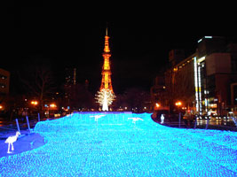 第33回ホワイトイルミネーション04