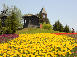 チューリップ・すずらんフェスタ01