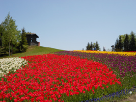 チューリップ・すずらんフェスタ02