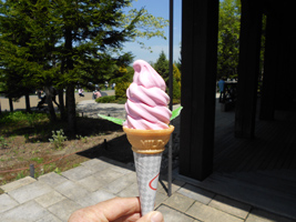 チューリップソフト