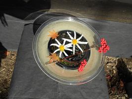 紅葉の水盤展02