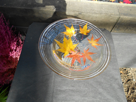 紅葉の水盤展03