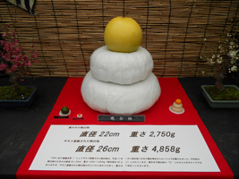 みかんなどの柑橘展02