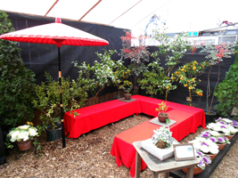 みかんなどの柑橘展03