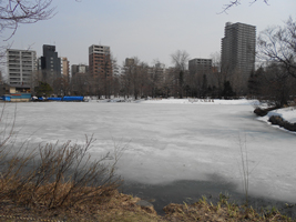 中島公園の菖蒲池02