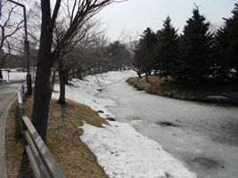 中島公園の菖蒲池03