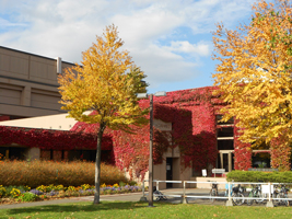 札幌農試公園の紅葉01