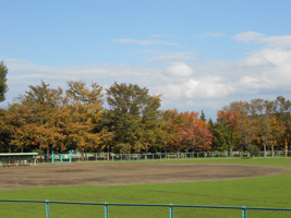 札幌農試公園の紅葉04