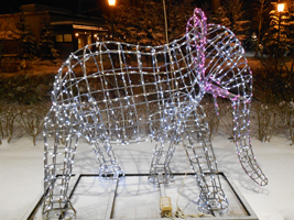 ウィンターイルミネーション03