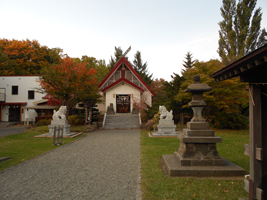 上手稲神社の御神木01