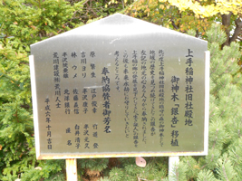 上手稲神社の御神木03