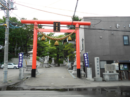 ハルニレ（遠景）