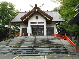 ハルニレ（近景）