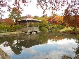 樹芸センター内の紅葉
