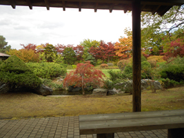 樹芸センター内の紅葉