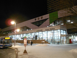 大通公園のケヤキ