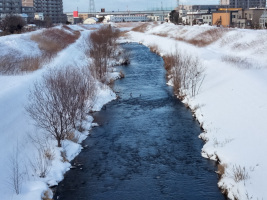 琴似発寒川