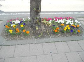 歩道わきの花壇