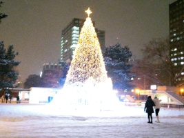 さっぽろホワイトイルミネーション