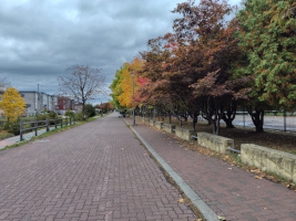 新琴似安春公園