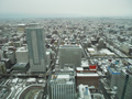 2012年4月の札幌癒し写真館